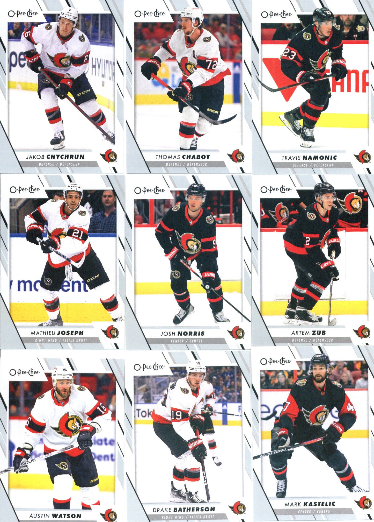 2023-24 O-Pee-Chee Veterans Ottawa Senators Team Set of 16 Cards