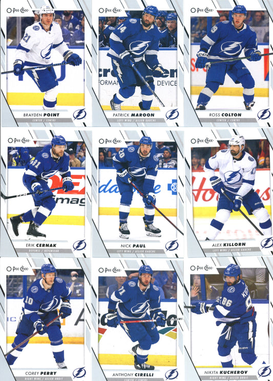 2023-24 O-Pee-Chee Veterans Tampa Bay Lightning Team Set of 17 Cards - GotBaseballCards